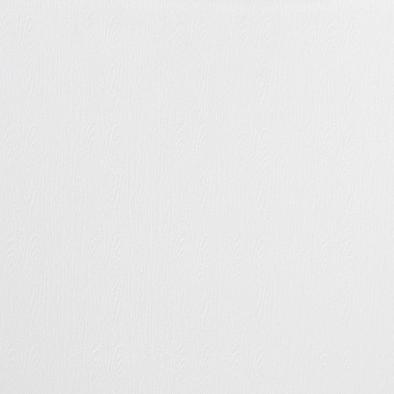 Jaden Modern and Contemporary 4-Piece Plastic/Metal Dining Chair Set