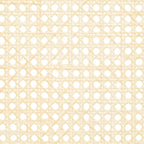 SAFAVIEH Couture Reinalda Cane Folding Dining Chair (Set of 2) - 18 In. W x 23 In. D x 33 In. H - 18Wx23Dx33H