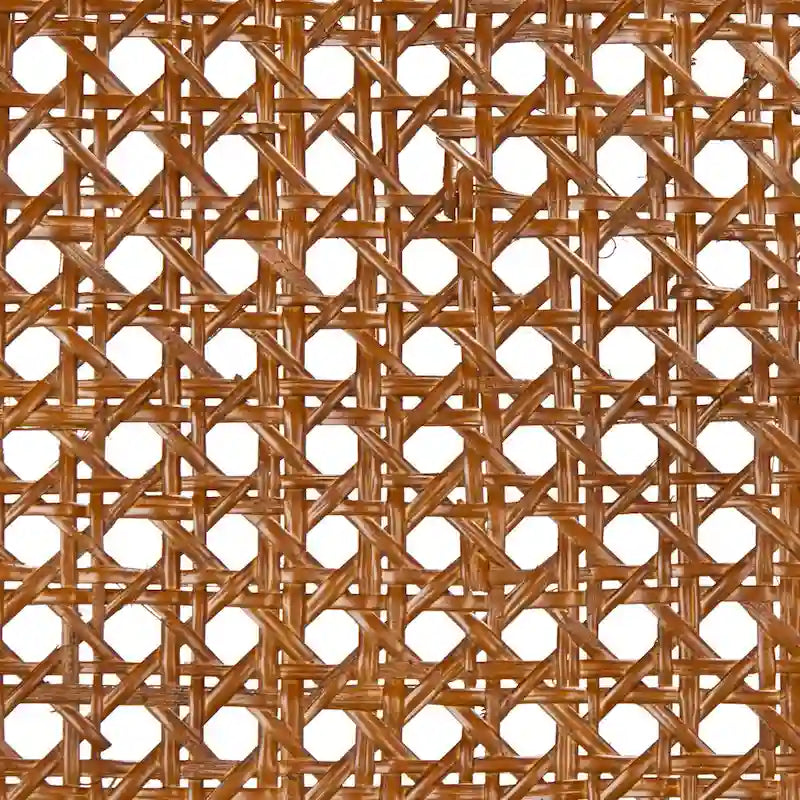 SAFAVIEH Sylva Rattan Cushion Dining Chair (Set of 2) - 19  W x 17.5  L x 32  H - 19Wx18Dx32H