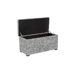 Angela Transitional Living Room Storage Trunk Bench