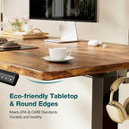 Electric Height Adjustable Standing Desk,Sit to Stand Computer Desk