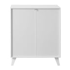 Modern Storage Cabinet with 2 Glass Doors and Adjustable Shelf